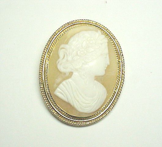 Shell Cameo Broach/Pendant in 14Kt Gold Frame