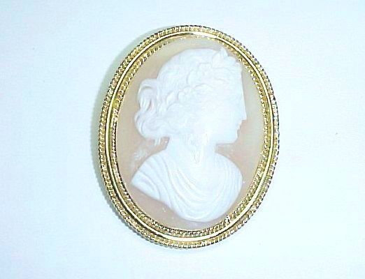 Shell Cameo Broach/Pendant in 14Kt Gold Frame