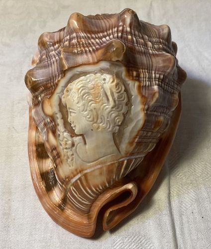 Vintage Italian Carved Conch Shell Cameo Souvenir
