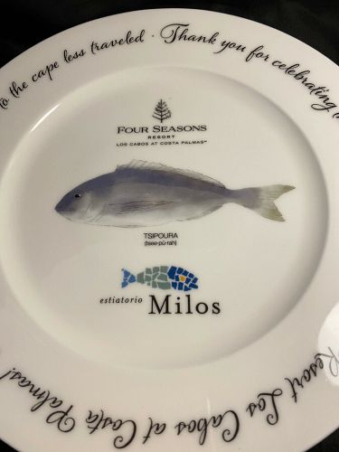 8 Porcelain Dinner Plates Four Seasons Resort