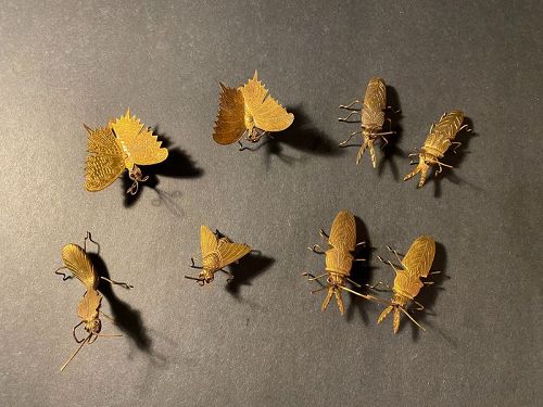 Group of 8 Brass Miniature Insects :Beetles, Moth, Butterfly