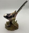 Royal Crown Derby Figurine " Long Tailed Tit" Signed JB and Titiled