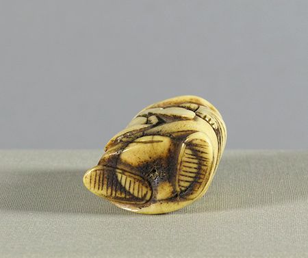 Japanese Staghorn Netsuke 雄鹿 根付 福禄寿 Fine & expressive