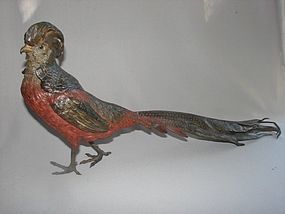 Large Franz Bergman Austrian Bronze - Chinese Golden Pheasant