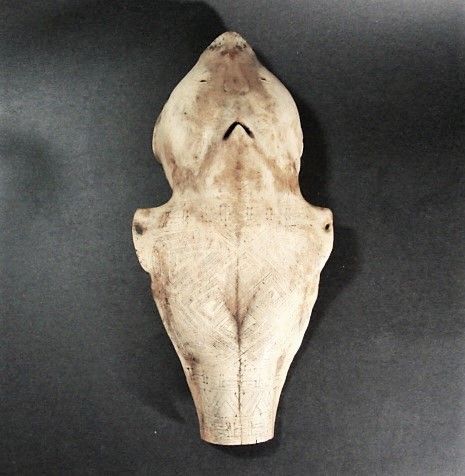 Shamanic Mask from Timor, Belu Antoni Culture, Scrimshaw Cow Skull