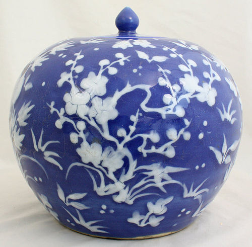 Chinese Qing Guangxu White Slip on Blue Ground Porcelain Ginger Jar