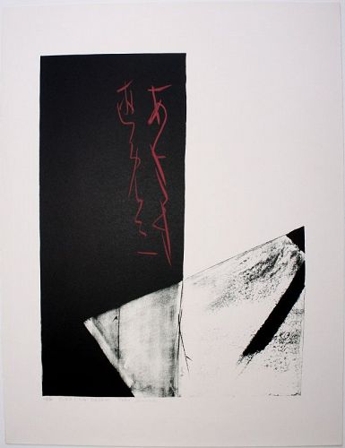 Large Ltd. Ed. Japanese Lithograph Print Toko Shinoda Fleeting Dream