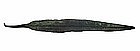 Ancient Bronze Spear From Luristan ca 1500 BC