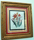 Hand Colored Botanical Print Jane Webb Loudon