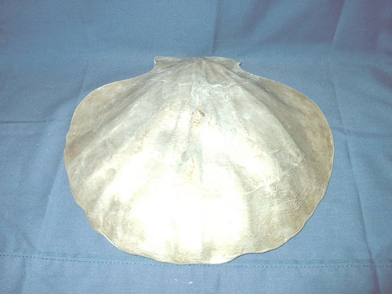 Art Nouveau Silvered Pewter Shell Dish with Nude Female