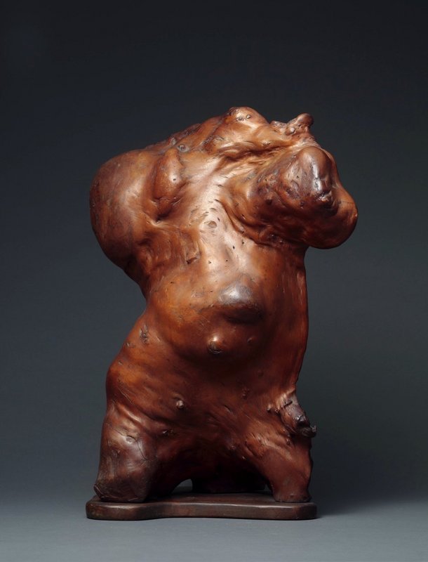 A Male Torso from Natural Wood.
