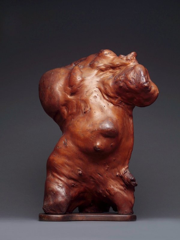 A Male Torso from Natural Wood.