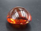 One Beautiful Amber Piece in Oval Shape.