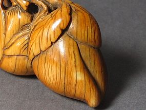 An Ivory Toggle In Shape of A Pair of Peaches
