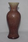 Chinese Qing Dynasty Oxblood Vase