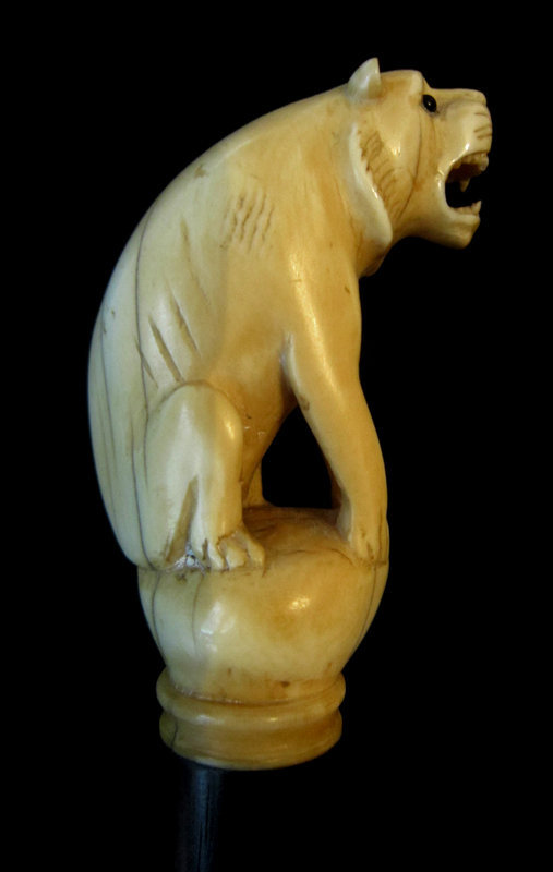 Ivory Lion Walking Stick c.1900-1910 Rosewood