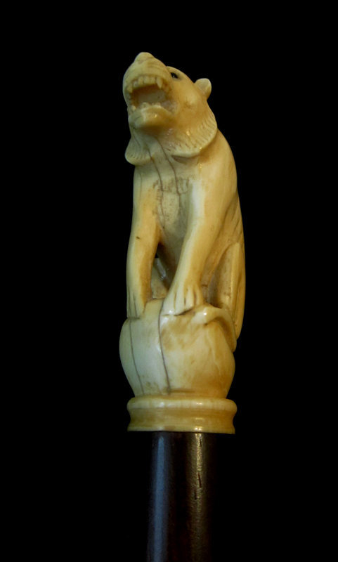 Ivory Lion Walking Stick c.1900-1910 Rosewood