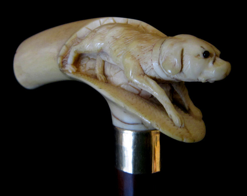 Ivory Handle Dog Walking Stick