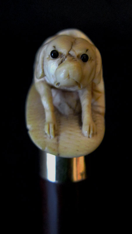 Ivory Handle Dog Walking Stick