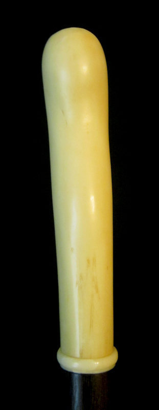 Victorian Ivory Dog Walking Stick, Carved in Relief