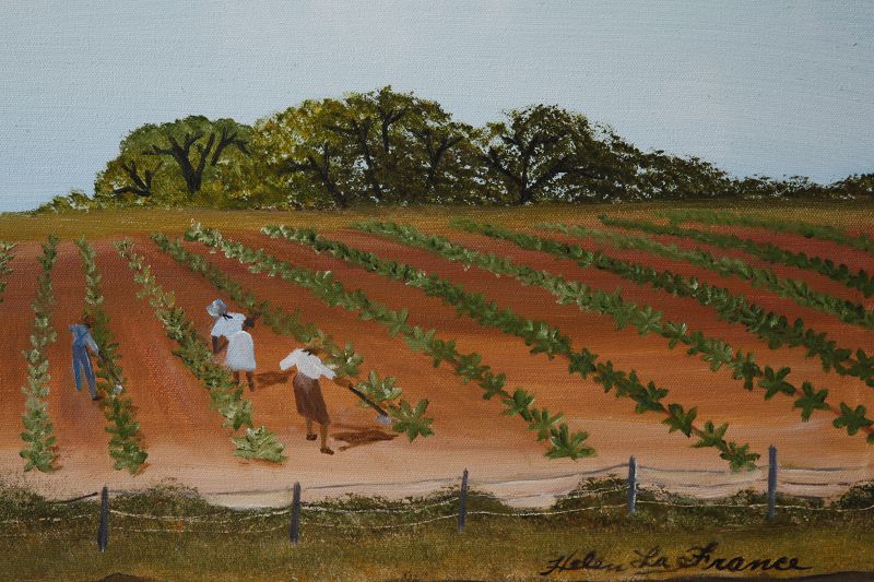 Tobacco Field by Helen LaFrance