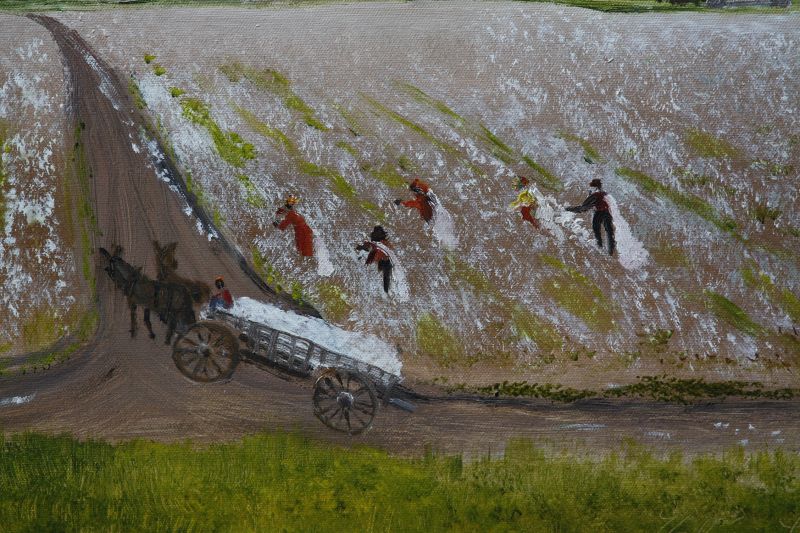 Cotton Field by Helen LaFrance