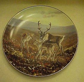 On the Trail plate 6 by Joan Sharrock Arctic collection