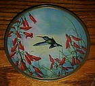 Broad Billed Hummingbird  & Penstemon plate C Nelson