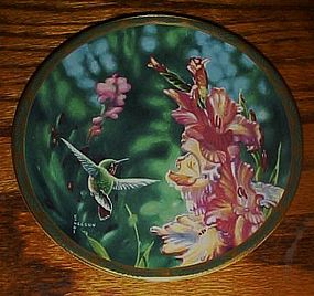 Calliope Hummingbird and Gladioli plate Cyndi Nelson
