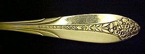 National Silver plate Princess Royal casserole spoon