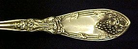 La Vigne 1881 Rogers 6" teaspoon Grapes 1908