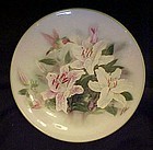 Teleflora Hummingbird and lilies plate by Lena Liu