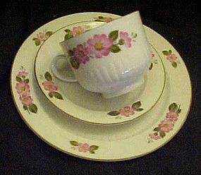 Winterling Bavaria plate cup and saucer pink blossoms