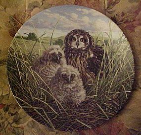 Knowles Happy Home Short-eared owls 8th plate