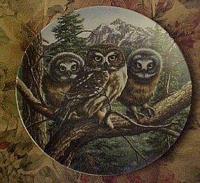 Knowles Vast View Saw-whet Owls 5th plate