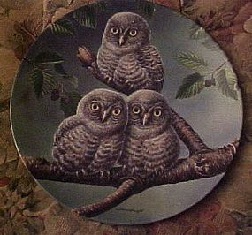 Knowles Out on a limb Great Gray Owls 5th issue