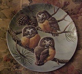 Knowles Forty Winks Saw-Whet Owls 2nd plate
