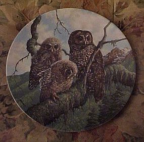 Knowles Woodland Watch Spotted Owls 4th plate
