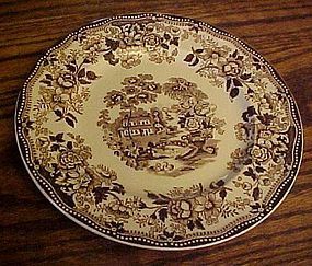 Royal Staffordshire Clarisse Cliff Tonquin brown plate