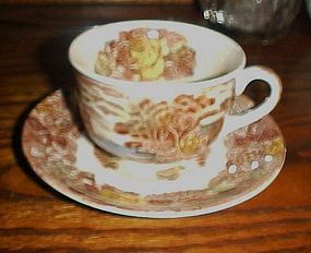 Nasco Mountain Woodland cup and saucer transferware