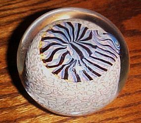 Rick Satava nautilus shell paperweight signed and dated
