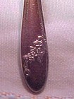 Oneida Community Queen Bess serving spoon 8 1/4