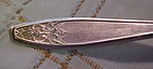 Lady Doris  silver plate sugar spoon Princess pattern