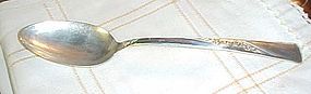 Revelation Silver Plate Precious Flower serving spoon