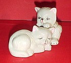 Playful white persian kittens salt and pepper shakers