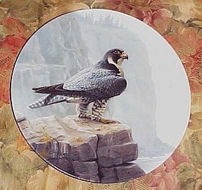 Knowlws  Peregrine Falcon plate from the Majestic birds series