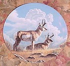 Wild and Free Canada's Big Game series plate  The Pronghorn MIB