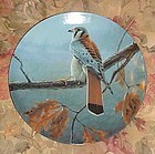 Knowles Majestic Birds series limited ed plate The American Kestrel