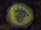 Jeanette crystal Iris Herringbone dinner plate