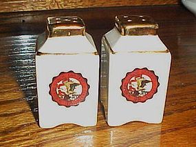 Vintage porcelain souvenir shakers Northern Illinois University Delkab